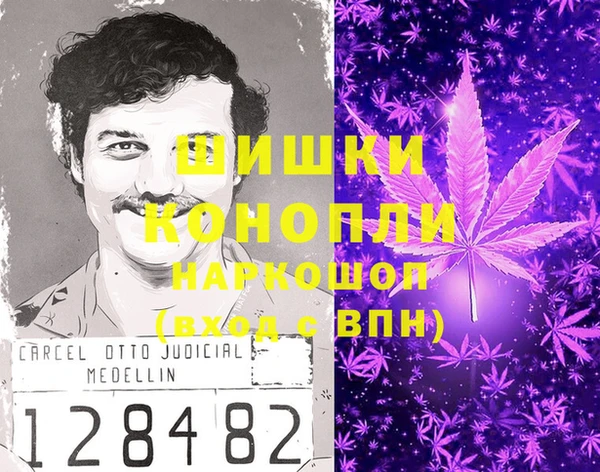 ПСИЛОЦИБИНОВЫЕ ГРИБЫ Балабаново