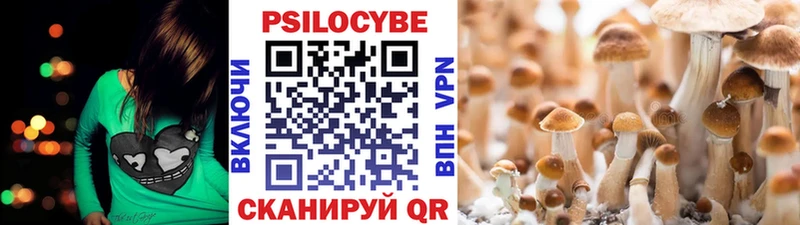 мега ссылка  Белинский  Галлюциногенные грибы мицелий 